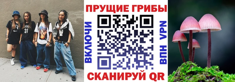Псилоцибиновые грибы мухоморы  Ак-Довурак 